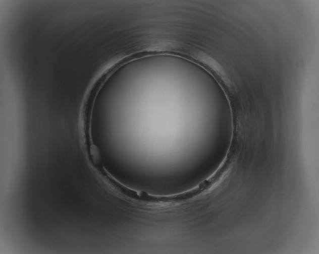 X0000100761122200806261559