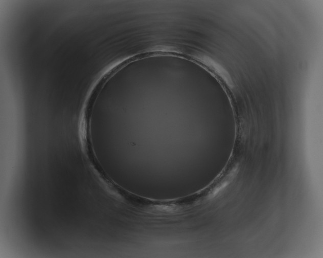 X0000100761125200806261559