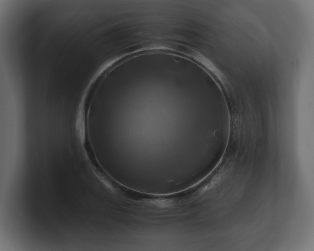 X0000100761127200806261559