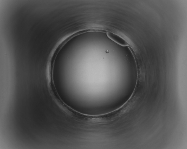 X0000100761128200806261559