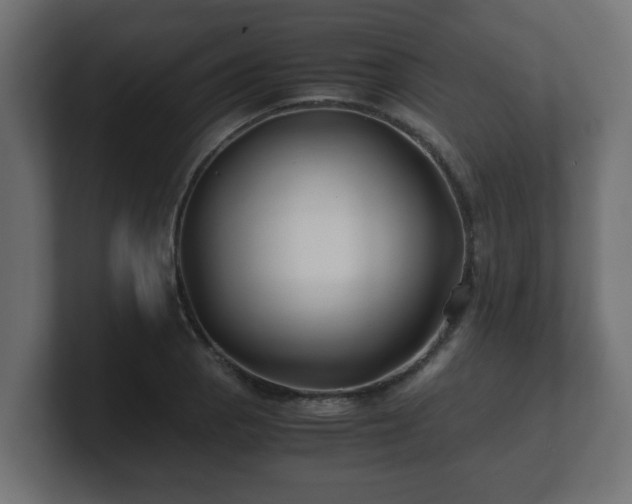 X0000100761129200806261559