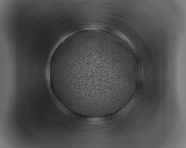 X0000100761130200806261559