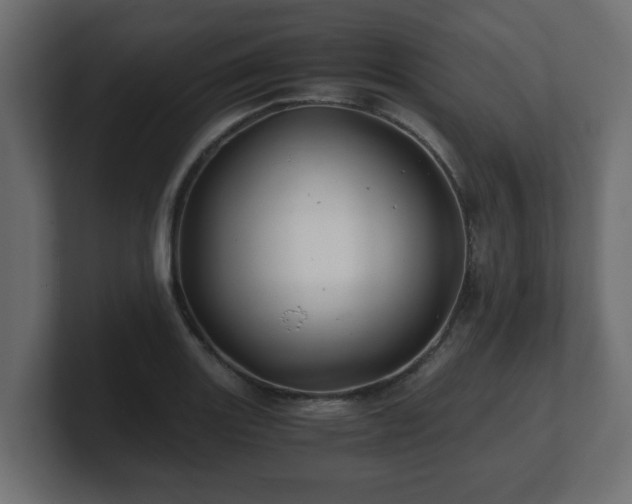 X0000100761131200806261559