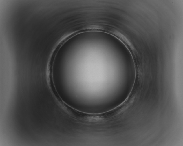 X0000100761133200806261559