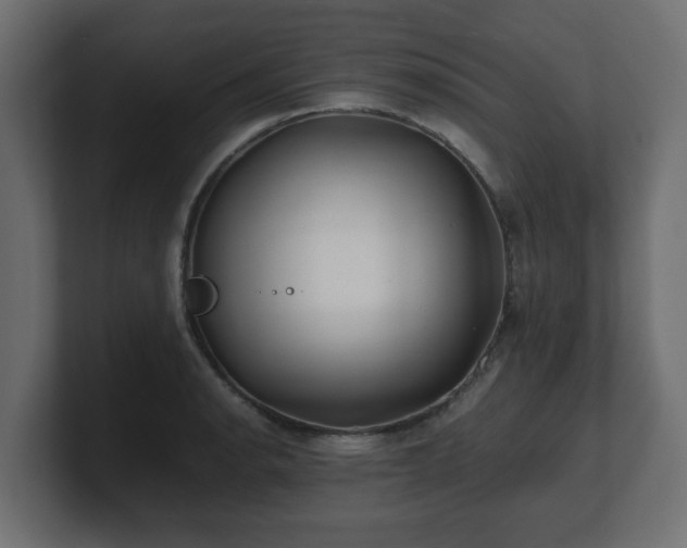 X0000100761134200806261559