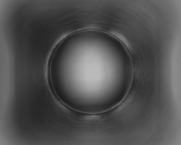 X0000100761135200806261559