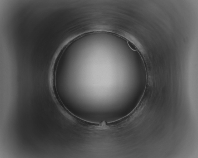 X0000100761136200806261559