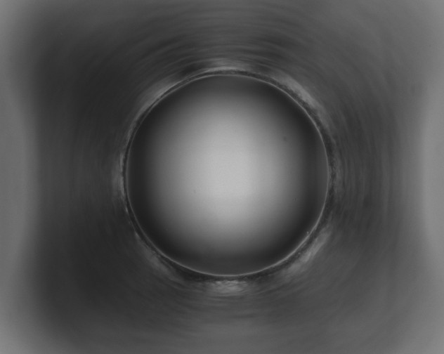 X0000100761137200806261559