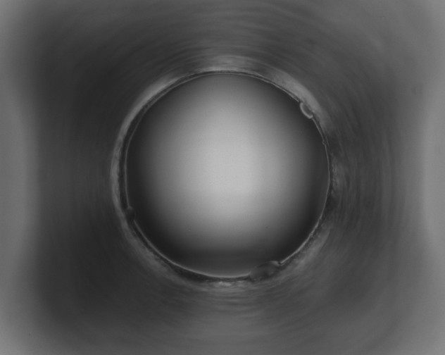 X0000100761138200806261559