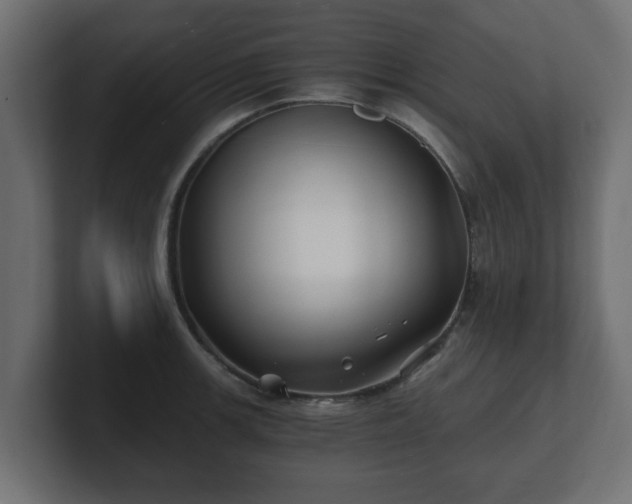 X0000100761139200806261559