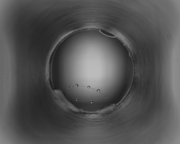 X0000100761140200806261559