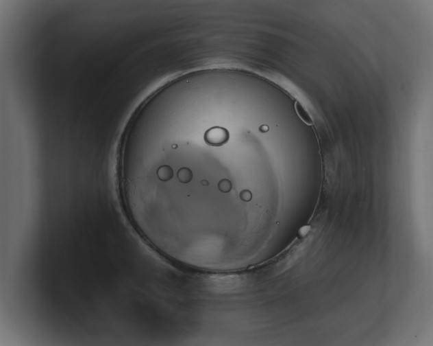 X0000100761142200806261559