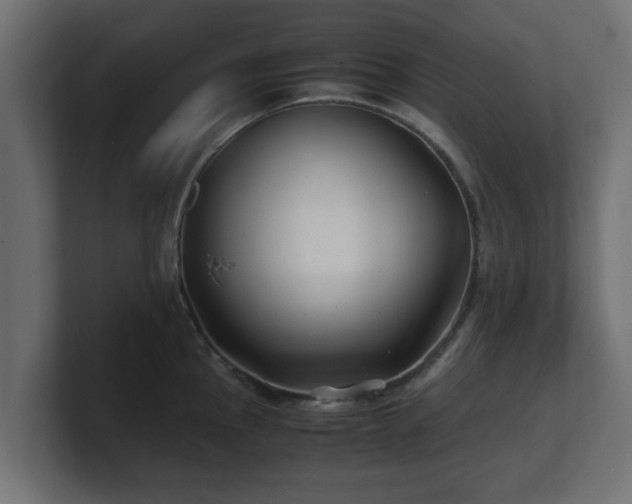 X0000100761145200806261559