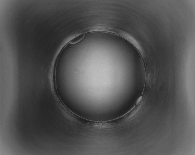 X0000100761146200806261559