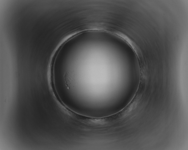 X0000100761147200806261559