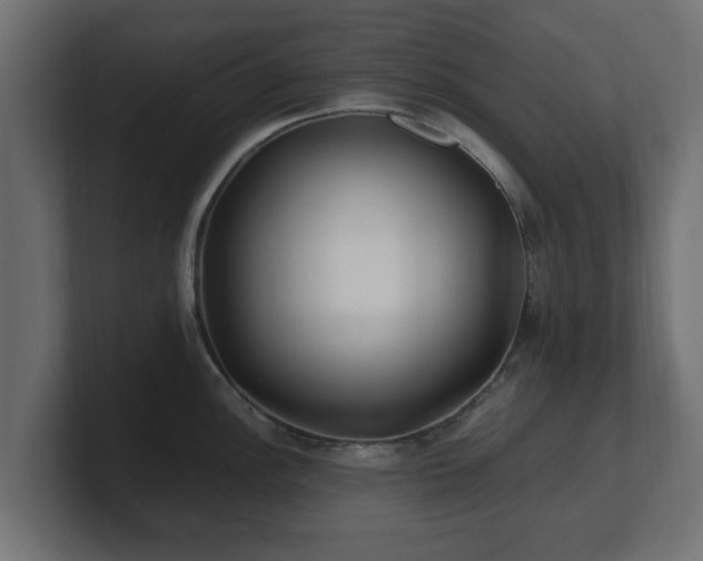 X0000100761148200806261559