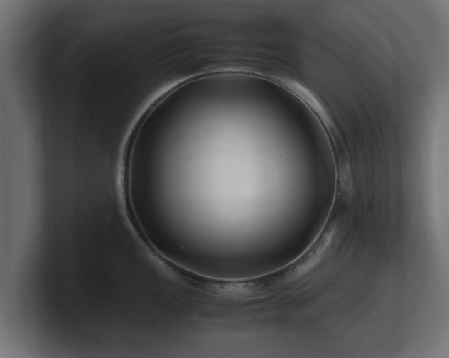 X0000100761149200806261559