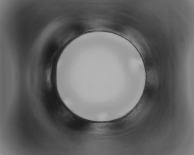 X0000100761150200806261559