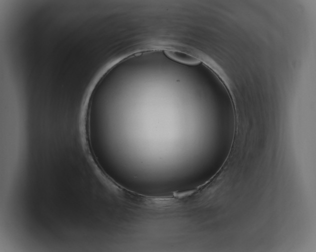 X0000100761152200806261559