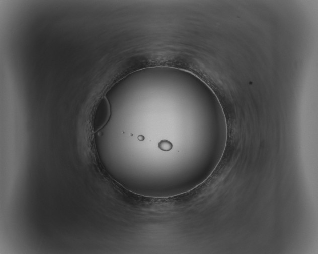 X0000100761153200806261558