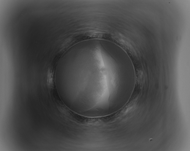 X0000100761154200806261558