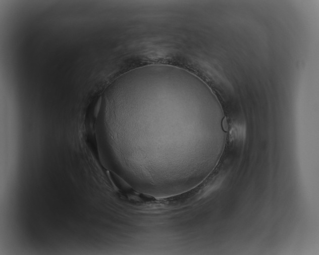 X0000100761156200806261558