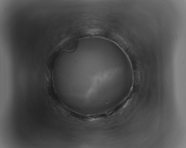 X0000100761158200806261558