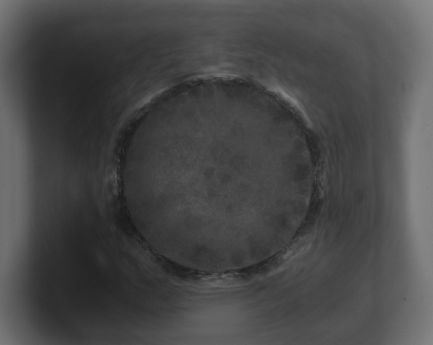 X0000100761159200806261558