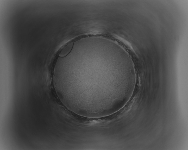 X0000100761160200806261558