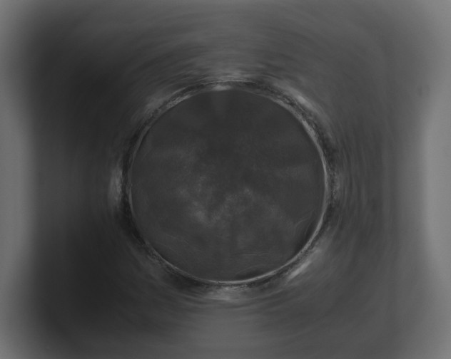 X0000100761161200806261558