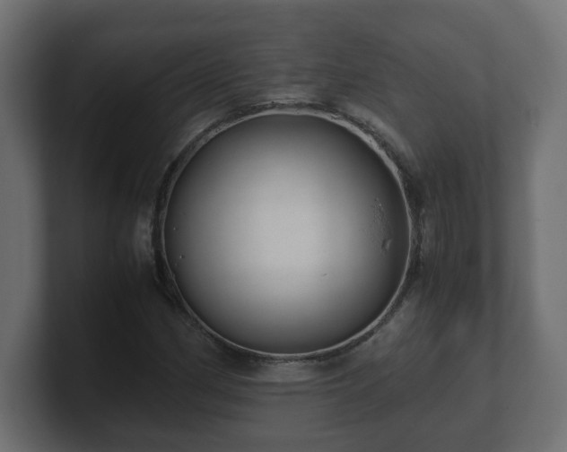 X0000100761162200806261558