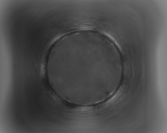 X0000100761163200806261558