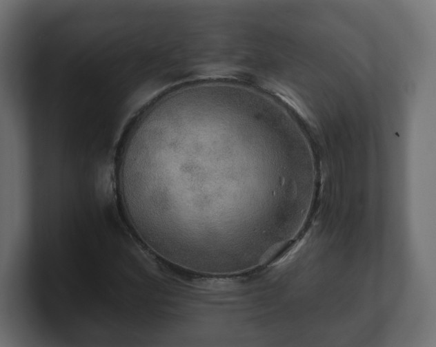 X0000100761164200806261558