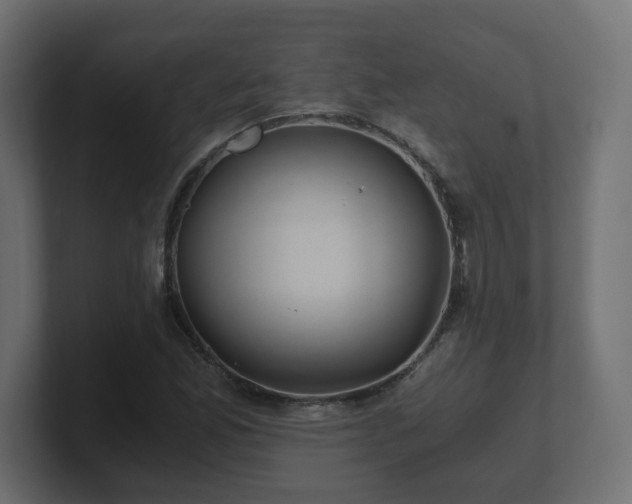 X0000100761165200806261558