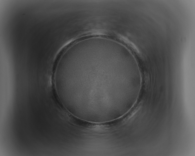 X0000100761166200806261558