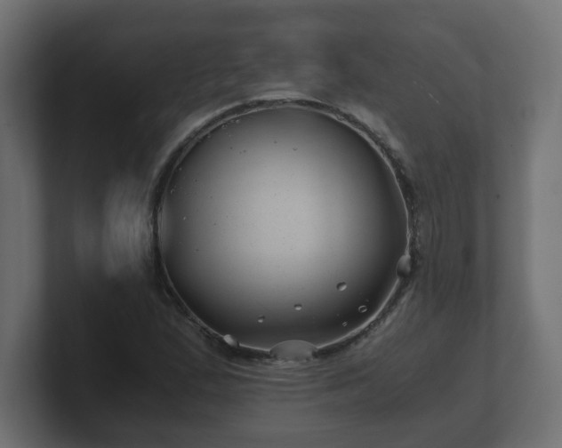 X0000100761167200806261558