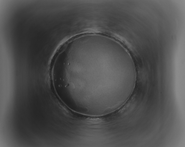 X0000100761168200806261558