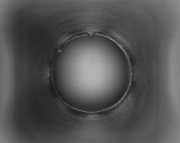 X0000100761169200806261558