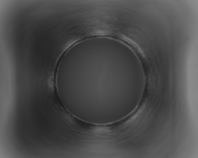 X0000100761170200806261558