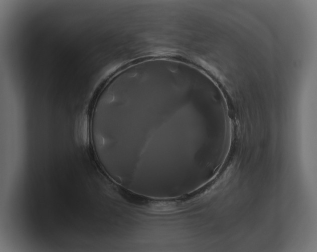 X0000100761171200806261558