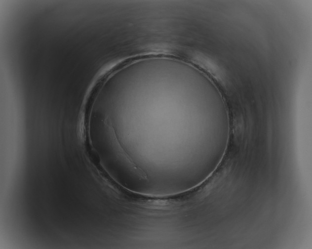 X0000100761172200806261558