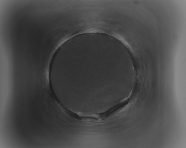 X0000100761173200806261558