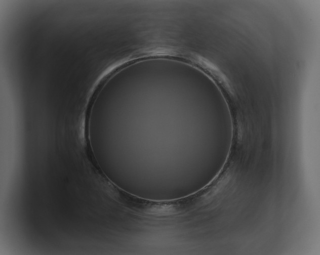 X0000100761174200806261558