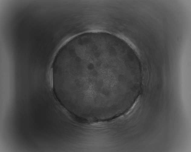 X0000100761175200806261558