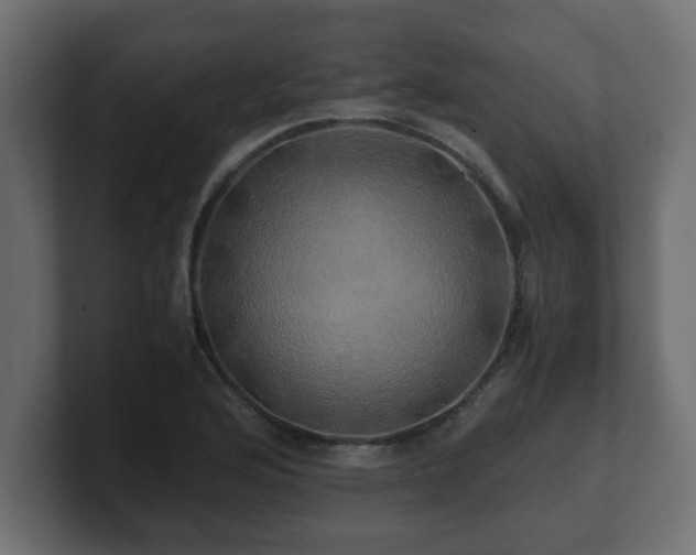 X0000100761176200806261558