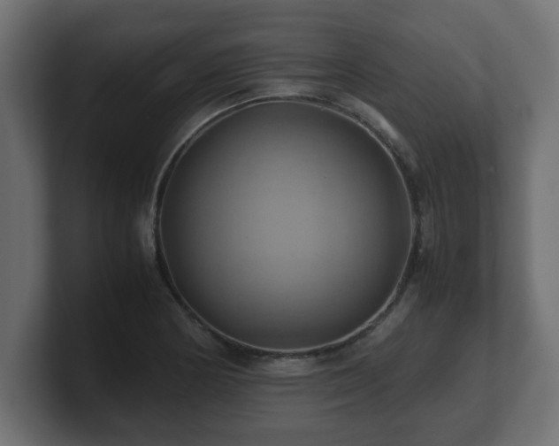 X0000100761178200806261558