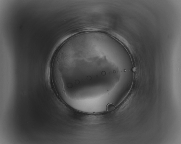 X0000100761179200806261558