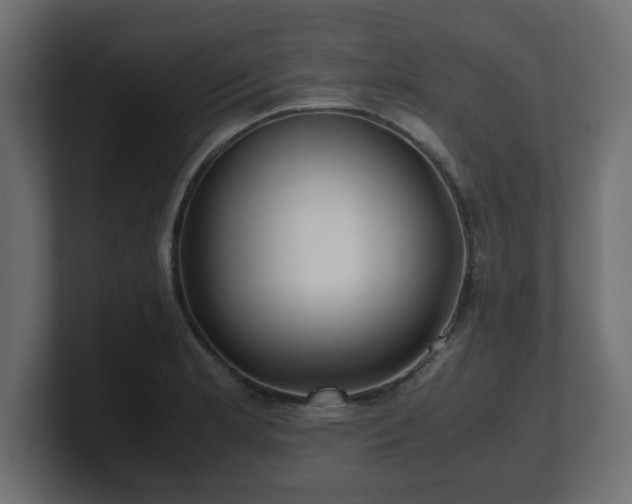 X0000100761181200806261558