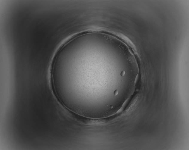 X0000100761183200806261558