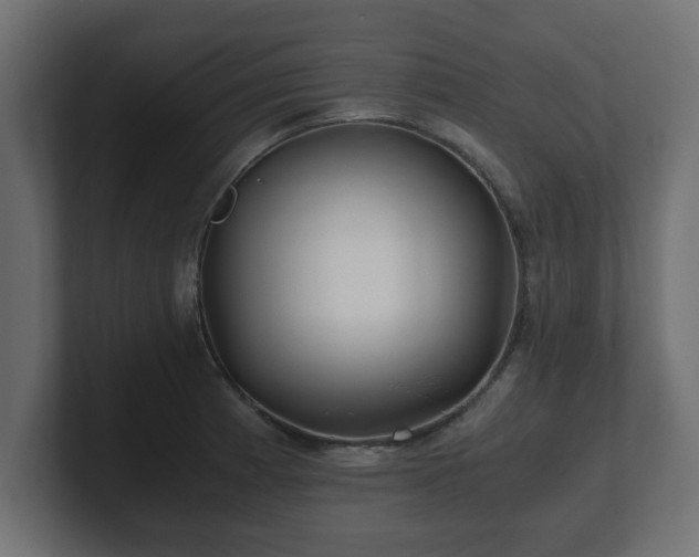 X0000100761185200806261558